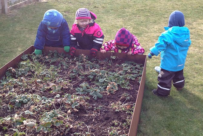 Børnene kigger og lærer om grøntsager i Skovvejens Hyggebo privat pasning Aalborg